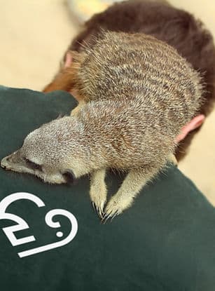 Wildlife conservation